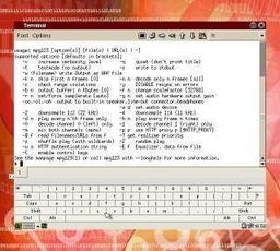 a integrated linux terminal